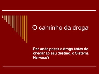 O caminho da droga Por onde passa a droga antes de chegar ao seu destino, o Sistema Nervoso? 