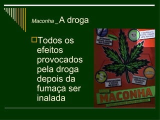 Todos os efeitos provocados pela droga depois da fumaça ser inalada A droga Maconha _ 
