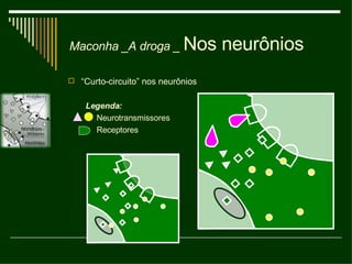 A droga _  Nos neurônios “ Curto-circuito” nos neurônios Legenda: Neurotransmissores Receptores Maconha _ 