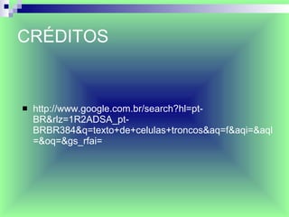 CRÉDITOS http://www.google.com.br/search?hl=pt-BR&rlz=1R2ADSA_pt-BRBR384&q=texto+de+celulas+troncos&aq=f&aqi=&aql=&oq=&gs_rfai= 