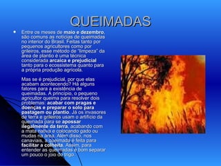 QUEIMADAS Entre os meses de  maio e dezembro , são comuns as notícias de queimadas no interior do Brasil. Feitas tanto por pequenos agricultores como por grileiros, esse método de “limpeza” da área de plantio é uma técnica considerada  arcaica e prejudicial  tanto para o ecossistema quanto para a própria produção agrícola. Mas se é prejudicial, por que elas acabam acontecendo? Há alguns fatores para a existência de queimadas. A princípio, o pequeno agricultor queima para resolver dois problemas:  acabar com pragas e doenças e preparar o solo para pastagem ou plantio . Já os invasores de terra e  grileiros  usam o artifício da queimada para se  apossar ilegalmente da terra , acabando com a mata nativa e colocando gado ou mudas na área. Além disso, nos canaviais, a queimada é feita para  facilitar a colheita . Assim, para entender as queimadas é bom separar um pouco o joio do trigo.  