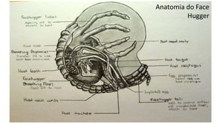 Anatomia do Face
Hugger
 