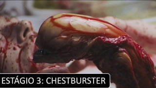 ESTÁGIO 3: CHESTBURSTER
 