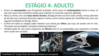 ESTÁGIO 4: ADULTO
• Possui um exoesqueleto, para lhe garantir proteção, assim como um endoesqueleto (como o nosso, só
que com ossos mais resistentes ainda), para sustentar os músculos e garantir agilidade.
• Mata as vítimas com uma boca dentro da boca. Biologicamente isso faria todo sentido, menos pelo fato
de ele não usar a primeira boca para segurar a vítima, como muitas enguias (ex. Snowflake eel), com uma
segunda mandíbula na faringe, fazem.
• O Alien em todos os estágios pode substituir suas células por Silício, para que, de acordo com dr. Ash,
“lhe deixe mais protegido a situações ambientais adversas”.
• Também pode ter seus vasos sanguíneos de Silicone (tem Si na composição), pois suportaria o contato
com o ácido sem corrosão.
“snowflake eel” (enguia floco de neve) comendo um caranguejo
Bocas do Alien
 