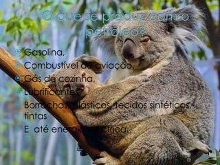 Gasolina, Combustível de aviação,  Gás de cozinha,  Lubrificantes,  Borrachas, plásticos, tecidos sintéticos, tintas  E  até energia eléctrica. 