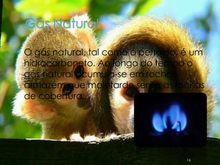 O gás natural, tal como o petróleo, é um hidrocarboneto. Ao longo do tempo o gás natural acumula-se em rochas-armazém que mais tarde serão as rochas de cobertura. 