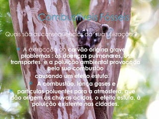 Quais são as consequências da  sua utilização ?  A extracção do  carvão origina graves problemas : as doenças pulmonares, os transportes, e a poluição ambiental provocada pela sua combustão causando um efeito estufa. A combustão, lança gases e partículas poluentes para a atmosfera, que dão origem às chuvas ácidas, o efeito estufa, à poluição existente nas cidades. 