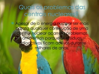 Apesar de a energia nuclear ser mais barata qualquer construção de uma central nuclear acarreta problemas ambientais porque os resíduos radioactivos ficam activos durante milhares de anos. 