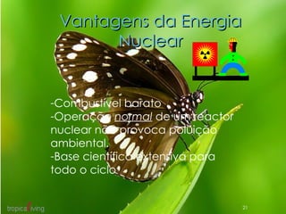 Vantagens da Energia Nuclear Combustível barato Operação  normal  de um reactor nuclear não provoca poluição ambiental. Base científica extensiva para todo o ciclo 