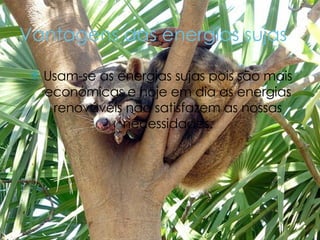 Vantagens das energias sujas Usam-se as energias sujas pois são mais económicas e hoje em dia as energias renováveis não satisfazem as nossas necessidades. 