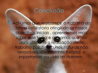Achamos que realizamos  o trabalho da forma satisfatória atingindo os nossos objectivos iniciais , aprendemos mais sobre este tema e achamos que nos dará utilidade a realização deste trabalho pois os recursos naturais não renováveis são bastante falados  e importantes  na vida do Homem . 