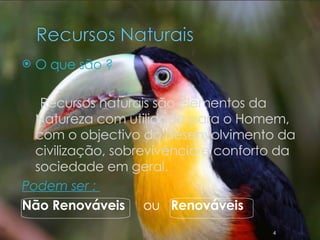 O que são ? Recursos naturais são elementos da Natureza com utilidade para o Homem, com o objectivo do desenvolvimento da civilização, sobrevivência e conforto da sociedade em geral. Podem ser :   Não Renováveis  ou   Renováveis 