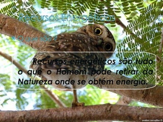 O que são ? Recursos energéticos   são tudo o que o Homem pode retirar da Natureza onde se obtém energia. 