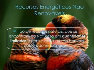 Tipo de recursos naturais, que se encontram na Natureza em  quantidades limitadas  e com o consumo do Homem  acelerado se extinguem. 