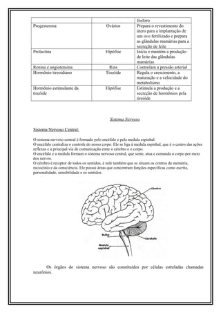 Progesterona

Ovários

Prolactina

Hipófise

Renina e angiotensina
Hormônio tireoidiano

Rins
Tireóide

Hormônio estimulante da
tireóide

Hipófise

fósforo
Prepara o revestimento do
útero para a implantação de
um ovo fertilizado e prepara
as glândulas mamárias para a
secreção de leite
Inicia e mantém a produção
de leite das glândulas
mamárias
Controlam a pressão arterial
Regula o crescimento, a
maturação e a velocidade do
metabolismo
Estimula a produção e a
secreção de hormônios pela
tireóide

Sistema Nervoso
Sistema Nervoso Central:
O sistema nervoso central é formado pelo encéfalo e pela medula espinhal.
O encéfalo centraliza o controle do nosso corpo. Ele se liga à medula espinhal, que é o centro das ações
reflexas e a principal via de comunicação entre o cérebro e o corpo.
O encéfalo e a medula formam o sistema nervoso central, que sente, atua e comanda o corpo por meio
dos nervos.
O cérebro é receptor de todos os sentidos, é nele também que se situam os centros da memória,
raciocínio e da consciência. Ele possui áreas que concentram funções específicas como escrita,
personalidade, sensibilidade e os sentidos.

Os órgãos do sistema nervoso são constituídos por células estreladas chamadas
neurônios.

 