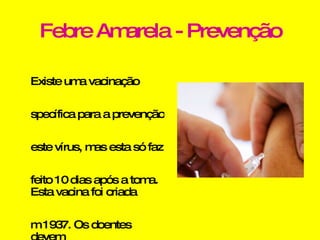 Febre Amarela - Prevenção Existe uma vacinação específica para a prevenção deste vírus, mas esta só faz efeito 10 dias após a toma. Esta vacina foi criada em 1937. Os doentes devem ingerir muitos líquidos e fazer transfusões de sangue.  