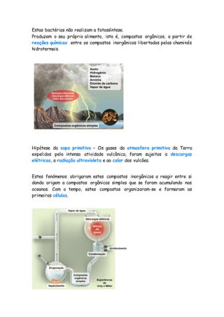 Estas bactérias não realizam a fotossíntese.
Produzem o seu próprio alimento, isto é, compostos orgânicos, a partir de
reações químicas entre os compostos inorgânicos libertados pelas chaminés
hidrotermais.
Hipótese da sopa primitiva – Os gases da atmosfera primitiva da Terra
expelidos pela intensa atividade vulcânica, foram sujeitos a descargas
elétricas, a radiação ultravioleta e ao calor dos vulcões.
Estes fenómenos obrigaram estes compostos inorgânicos a reagir entre si
dando origem a compostos orgânicos simples que se foram acumulando nos
oceanos. Com o tempo, estes compostos organizaram-se e formaram as
primeiras células.
 