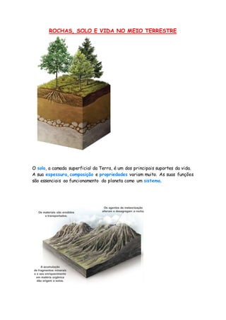 ROCHAS, SOLO E VIDA NO MEIO TERRESTRE
O solo, a camada superficial da Terra, é um dos principais suportes da vida.
A sua espessura, composição e propriedades variam muito. As suas funções
são essenciais ao funcionamento do planeta como um sistema.
 