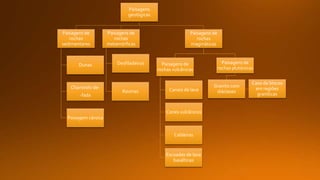 Paisagens
geológicas
Paisagens de
rochas
magmáticas
Paisagens de
rochas plutónicas
Granito com
diáclases
Caos de blocos
em regiões
graníticas
Paisagens de
rochas vulcânicas
Canais de lava
Cones vulcânicos
Caldeiras
Escoadas de lava
basálticas
Paisagens de
rochas
metamórficas
Desfiladeiros
Ravinas
Paisagens de
rochas
sedimentares
Dunas
Chaminés-de-
-fada
Paisagem cársica
 