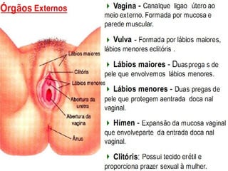 Ciências (2)