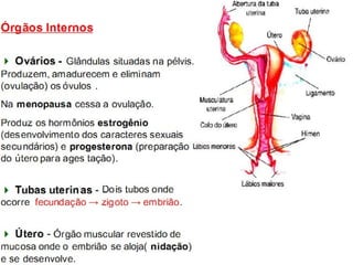 Ciências (2)