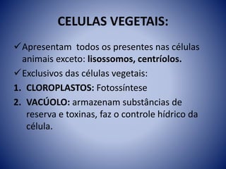 CELULAS VEGETAIS:
Apresentam todos os presentes nas células
animais exceto: lisossomos, centríolos.
Exclusivos das células vegetais:
1. CLOROPLASTOS: Fotossíntese
2. VACÚOLO: armazenam substâncias de
reserva e toxinas, faz o controle hídrico da
célula.
 