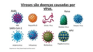 Viroses são doenças causadas por
vírus.
Aids Raiva
HPV
Disponível em: https://www.freepik.com/free-vector/
SARS-CoV-2
 