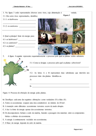 Ciências Naturais – 8º Ano Ano Letivo 2012/2013
Página 4 de 5
Figura 3
3. Na figura 3 estão representados diversos seres vivos, cuja alimentação é variada.
3.1. Dos seres vivos representados, identifica:
3.1.1. os herbívoros. _________________
__________________________________
3.1.2. os carnívoros. _________________
___________________________________
4. Qual a principal fonte de energia para:
4.1- os herbívoros? __________________
4.2- os carnívoros? __________________
4.3- as plantas? ____________________
5. A figura 4 seguinte representa esquematicamente o processo pelo qual as plantas verdes subsistem.
5.1- Como se designa o processo pelo qual as plantas sobrevivem?
_____________________________________________________________
5.2- As letras A e B representam duas substâncias que intervêm nos
processos vitais das plantas. Identifica-as.
A-
_____________________________________________________________
B- ___________________________________________________________
Figura 4- Processo de obtenção de energia pelas plantas.
6. Classifique cada uma das seguintes afirmações como verdadeira (V) e falsa (F).
A. Todos os ecossistemas ocupam uma área considerável, no mínimo de 20 km².
B. A transição entre diferentes ecossistemas terrestres ocorre de modo abrupto.
C. A luz é a fonte de energia apenas dos ecossistemas terrestres.
D. Os decompositores fecham o ciclo da matéria, fazendo a passagem dos materiais entre os componentes
biótico e abiótico do ecossistema.
E. A energia é continuamente reciclada nos ecossistemas.
F. O fluxo de energia depende do ciclo de matéria.
A
B
A
B
 