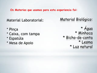 Material Biológico:
* Água
* Minhoca
* Bicho-de-conta
* Lesma
* Luz natural
Os Materias que usamos para esta experiencia foi:
Material Laboratorial:
* Pinça
* Caixa, com tampa
* Espatúla
* Mesa de Apoio
 