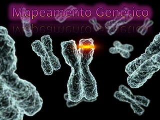 Mapa genético ou cromossômico é a representação da posição dos genes no
cromossomo.
Está diretamente relacionada a taxa de crossing.

Unidades de Recombinação (U.R.) ou Morganídeos (M) são as unidades
usadas para determinar a posição dos genes no cromossomo e correspondem
a taxa de crossing.
 