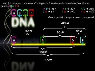Exemplo: Em um cromossomo há a seguinte frequência de recombinação entre os
genes A,B,C e D:
                                     -B  45%        -C  20%       C-B  25%
                                  B-D  5%         C-D  20%         -D  40%
         A    B    C    D
                                       Qual a posição dos genes no cromossomo?

                                                  25cM

                   20cM                                       5cM
                                              20cM

         A                        C                       D        B


                               40cM

                                      45cM
 