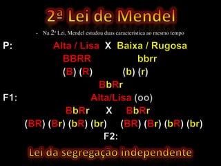- Na 2ª Lei, Mendel estudou duas característica ao mesmo tempo

P:
 