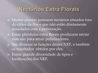 Muitas plantas possuem nectários situados fora 
do cálice da flor e que não estão diretamente 
associados com a polinização. 
 Essas glândulas extra florais produzem néctar 
mas não para atrair polinizadores. 
 São diversas as funções destes NEF, e também 
os resultados obtidos por eles. 
 Existe grande diversidade de tipos e 
localizações dos NEF. 
 