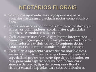  Só com o surgimento das angiospermas que os 
nectários passaram a produzir néctar como atrativo 
floral. 
 Flores polinizadas por animais têm características que 
atraem os polinizadores: corola vistosa, glândulas 
odoríferas e produtoras de néctar. 
 Cada característica floral é geralmente interpretada 
como adaptações para atrair e explorar certos tipos de 
polinizadores e excluir outros. O conjunto destas 
características compõe a síndrome de polinização. 
 Cada planta apresenta características morfológicas, 
sensoriais, nutricionais e comportamentais que são 
especializadas para um certo tipo de polinizador, ou 
seja, para cada espécie observa-se a forma, cor e 
simetria da corola, tipo de recompensa floral e 
sistema sexual adaptadas para seus polinizadores. 
 