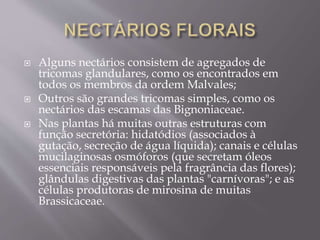  Alguns nectários consistem de agregados de 
tricomas glandulares, como os encontrados em 
todos os membros da ordem Malvales; 
 Outros são grandes tricomas simples, como os 
nectários das escamas das Bignoniaceae. 
 Nas plantas há muitas outras estruturas com 
função secretória: hidatódios (associados à 
gutação, secreção de água líquida); canais e células 
mucilaginosas osmóforos (que secretam óleos 
essenciais responsáveis pela fragrância das flores); 
glândulas digestivas das plantas "carnívoras"; e as 
células produtoras de mirosina de muitas 
Brassicaceae. 
 