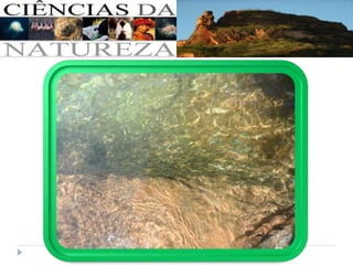 Ciências da natureza - Parte 02