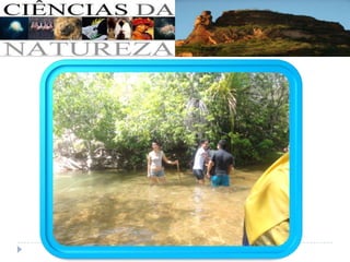 Ciências da natureza - Parte 02