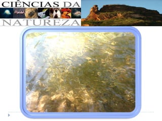 Ciências da natureza