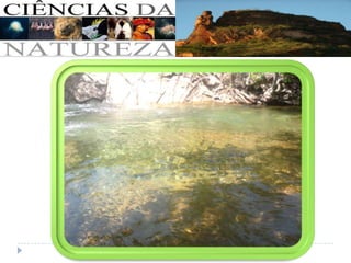 Ciências da natureza