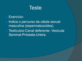 Teste
 Exercício:
 Indica o percurso da célula sexual
  masculina (espermatozoides).
 Testículos-Canal deferente- Vesícula
  Seminal-Próstata-Uretra.
 