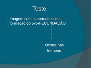 Teste
   Imagem com espermatozoides-
    formação do ovo-FECUNDAÇÃO




                     Ocorre nas
                      trompas
 