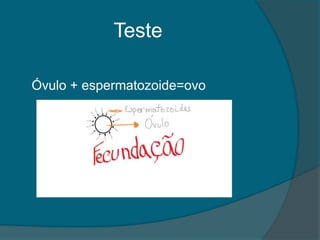 Teste

Óvulo + espermatozoide=ovo
 