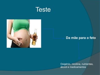 Teste



             Da mãe para o feto




        Oxigénio, nicotina, nutrientes,
        álcool e medicamentos
 