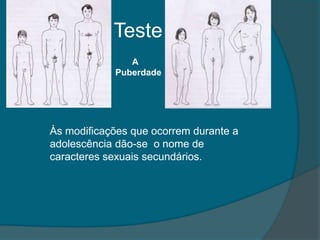 Teste
               A
            Puberdade




Às modificações que ocorrem durante a
adolescência dão-se o nome de
caracteres sexuais secundários.
 