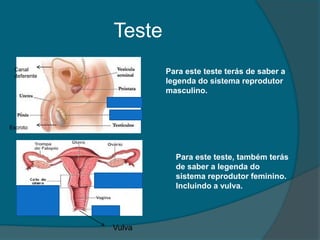 Teste
 Canal               Para este teste terás de saber a
 deferente
                     legenda do sistema reprodutor
                     masculino.



Escroto




                       Para este teste, também terás
                       de saber a legenda do
                       sistema reprodutor feminino.
                       Incluindo a vulva.




             Vulva
 