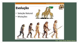 Prof. Ayana Karine Oliveira Pereira
 