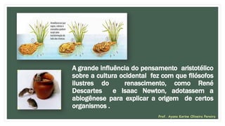 A grande influência do pensamento aristotélico
sobre a cultura ocidental fez com que filósofos
ilustres do renascimento, como René
Descartes e Isaac Newton, adotassem a
abiogênese para explicar a origem de certos
organismos .
Prof. Ayana Karine Oliveira Pereira
 