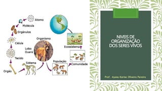 NIVEIS DE
ORGANIZAÇÃO
DOS SERES VIVOS
Prof. Ayana Karine Oliveira Pereira
 