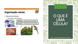 O QUE É
UMA
CÉLULA?
Prof. Ayana Karine Oliveira Pereira
 