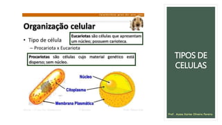 TIPOS DE
CELULAS
Prof. Ayana Karine Oliveira Pereira
 